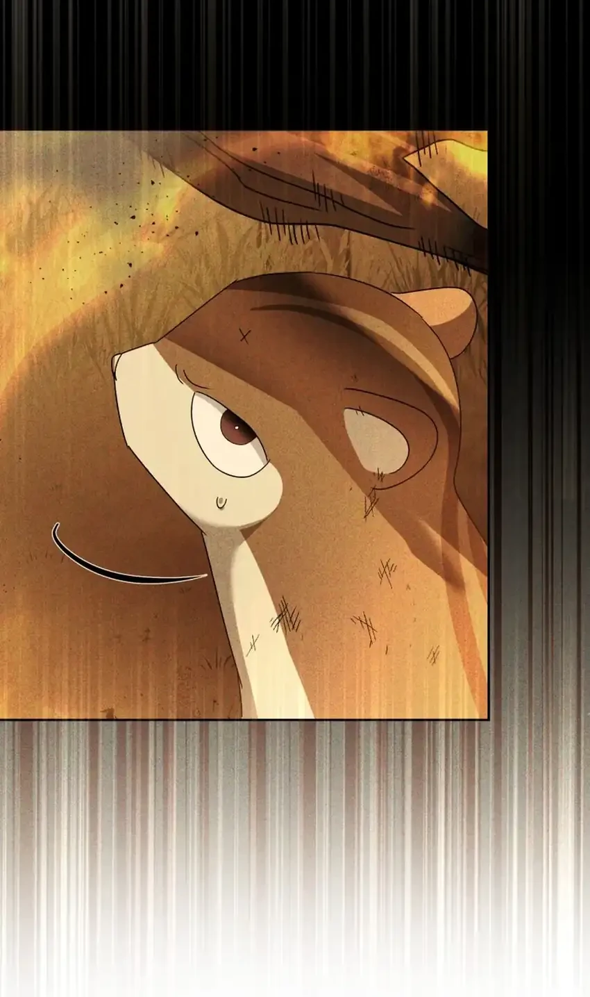 hello veterinarian chapter 107 - Page 61