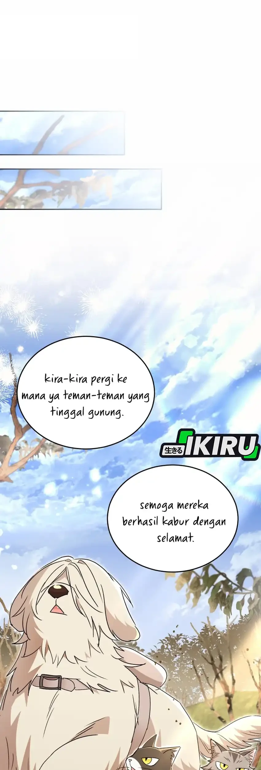 hello veterinarian chapter 107 - Page 11