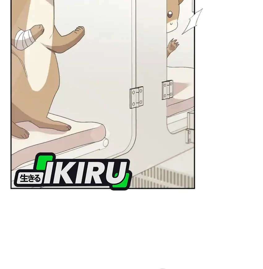 hello veterinarian chapter 109 - Page 35