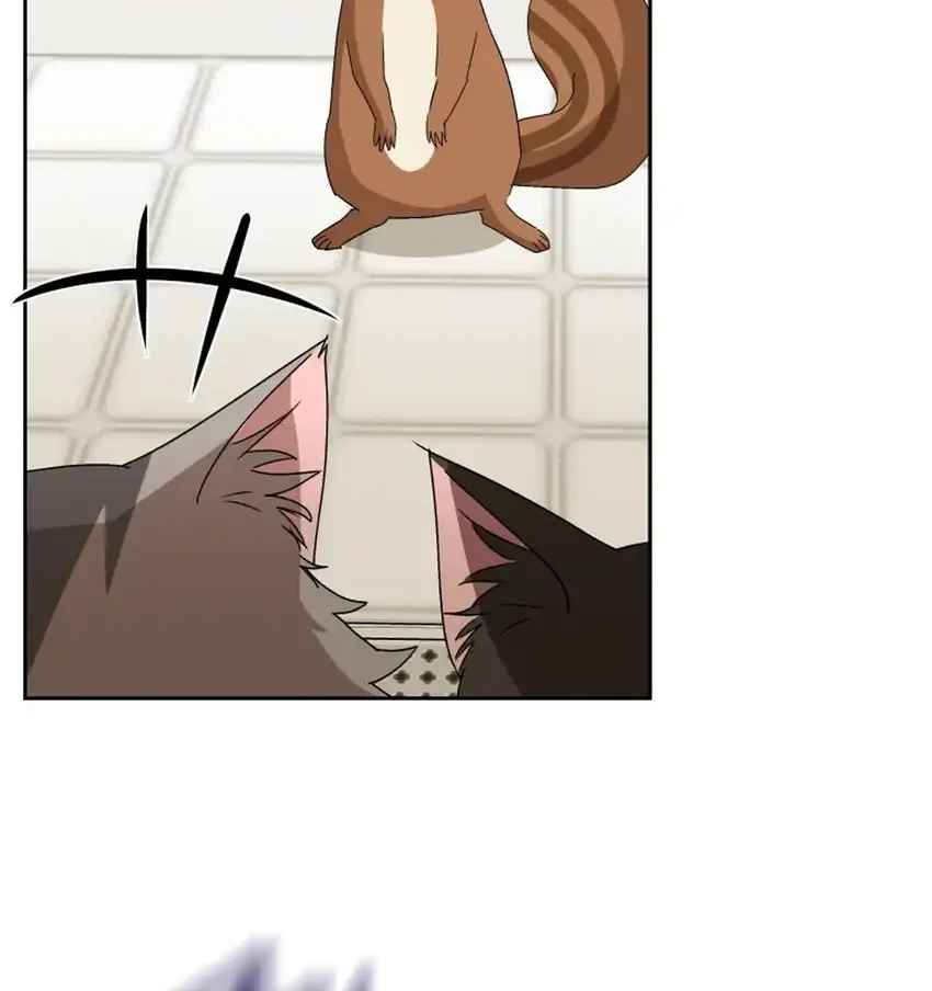 hello veterinarian chapter 109 - Page 41