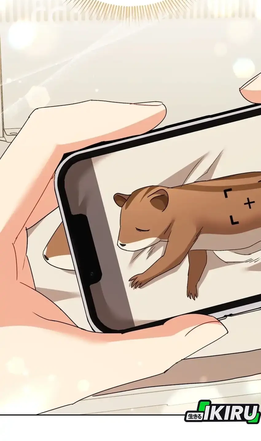 hello veterinarian chapter 110 - Page 44