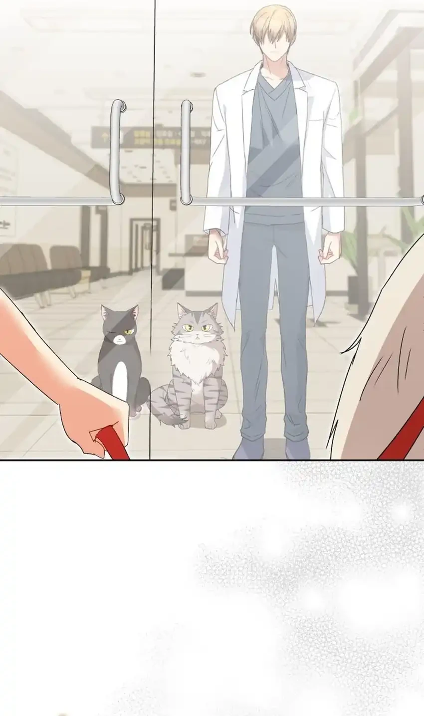 hello veterinarian chapter 112 - Page 36