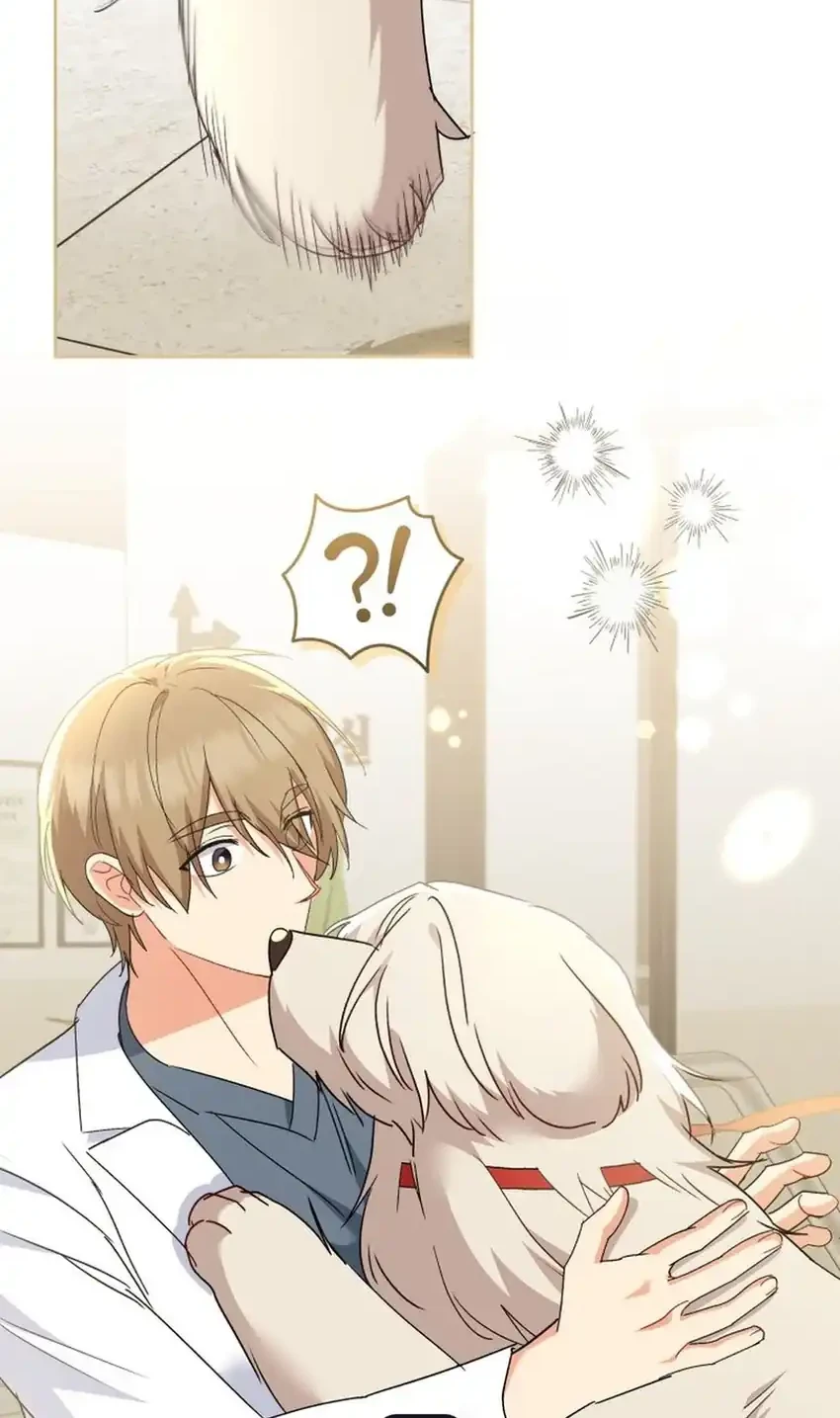 hello veterinarian chapter 112 - Page 50