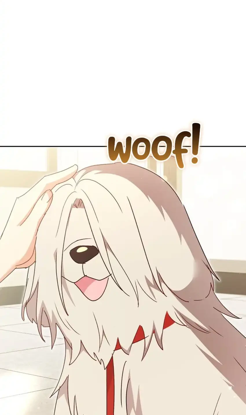 hello veterinarian chapter 112 - Page 52