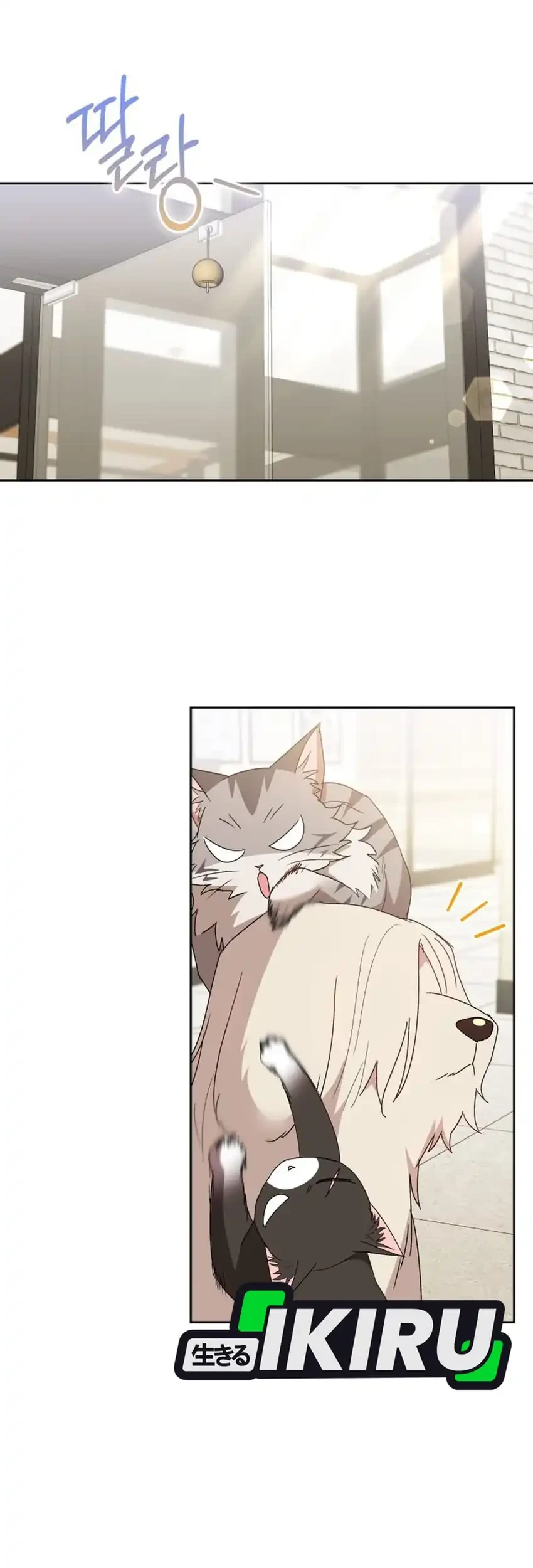 hello veterinarian chapter 112 - Page 63