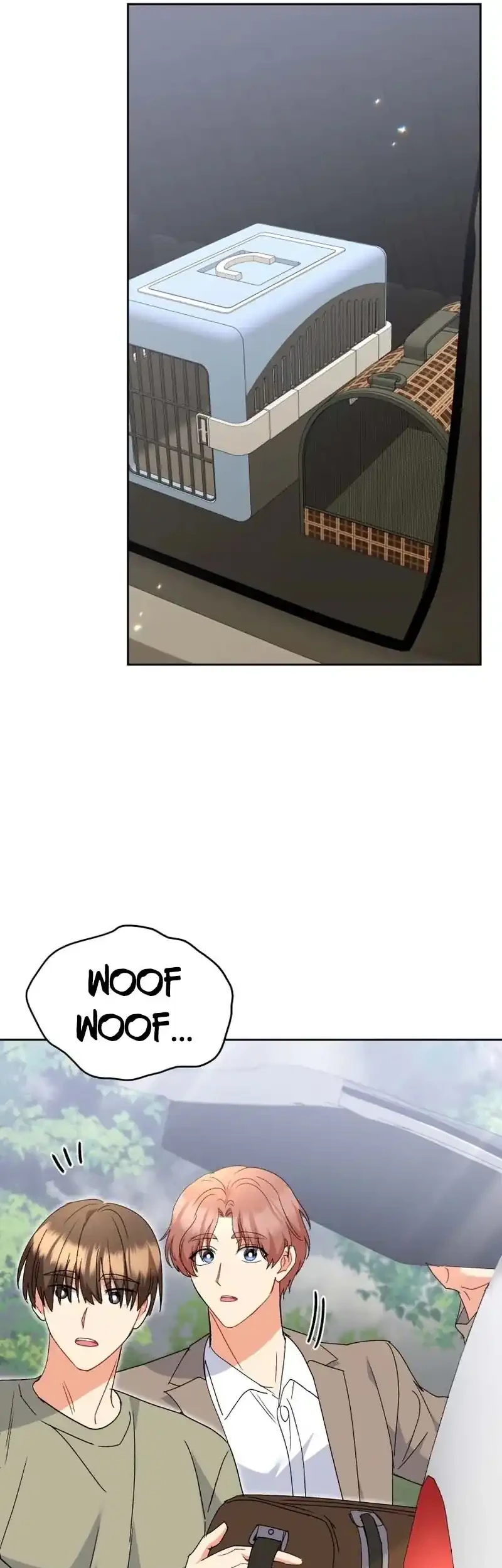 hello veterinarian chapter 113 - Page 29