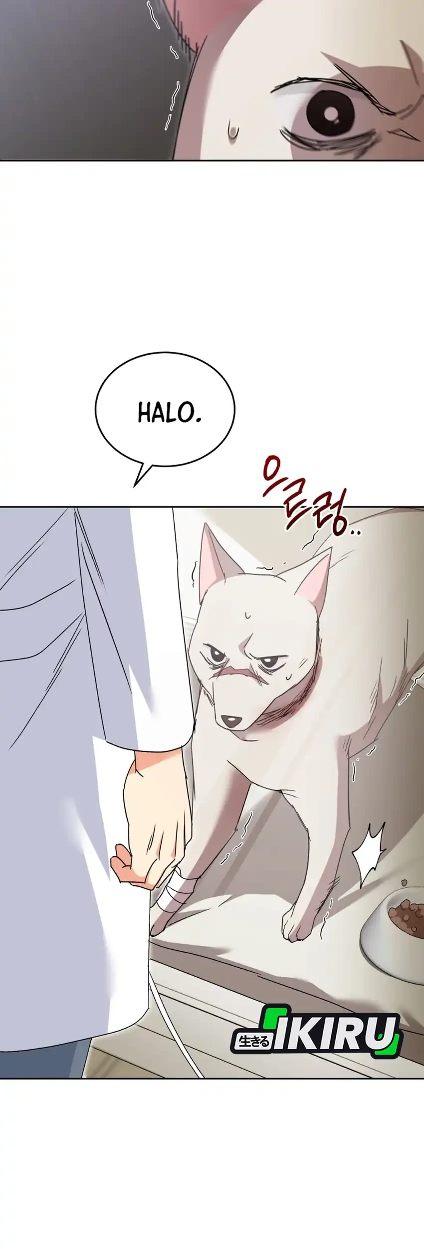 hello veterinarian chapter 114 - Page 42