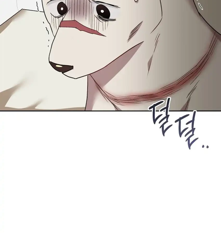 hello veterinarian chapter 114 - Page 63