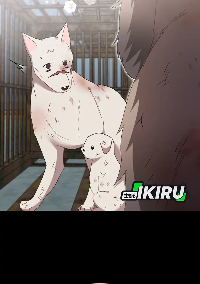 hello veterinarian chapter 115 - Page 22