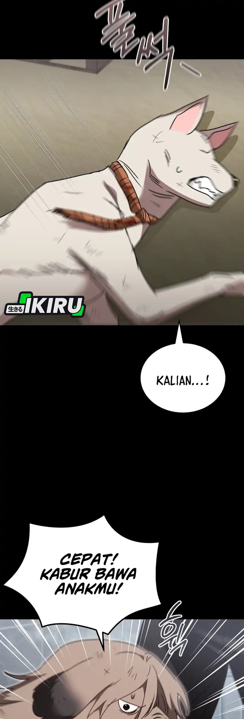 hello veterinarian chapter 115 - Page 43