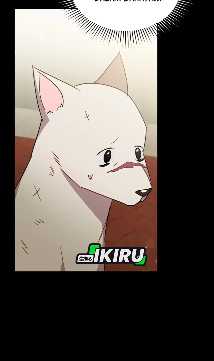 hello veterinarian chapter 115 - Page 4