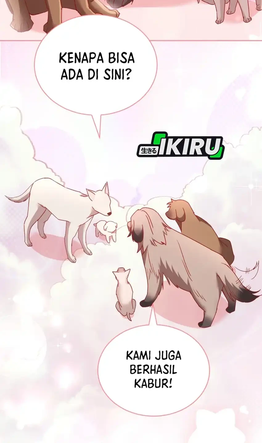 hello veterinarian chapter 115 - Page 64