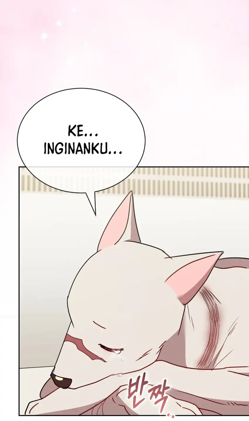 hello veterinarian chapter 115 - Page 66