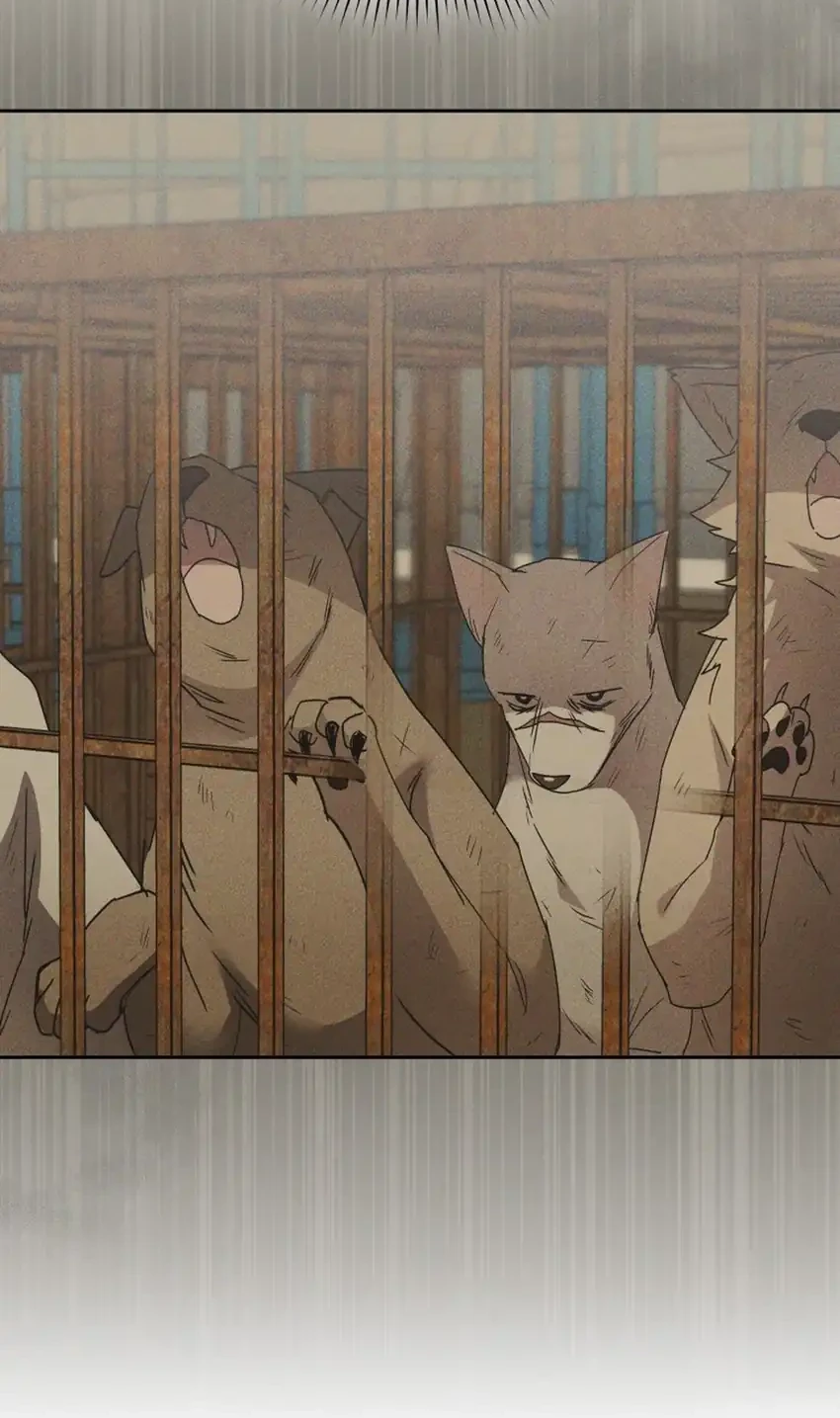 hello veterinarian chapter 116 - Page 18