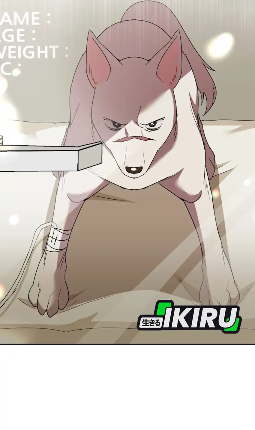 hello veterinarian chapter 116 - Page 20