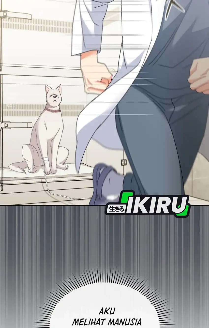 hello veterinarian chapter 116 - Page 28