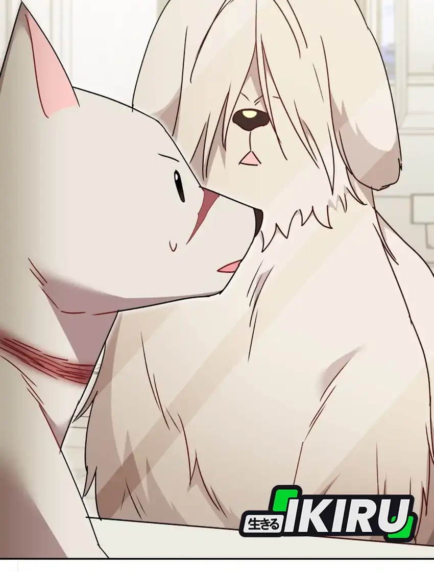 hello veterinarian chapter 116 - Page 2