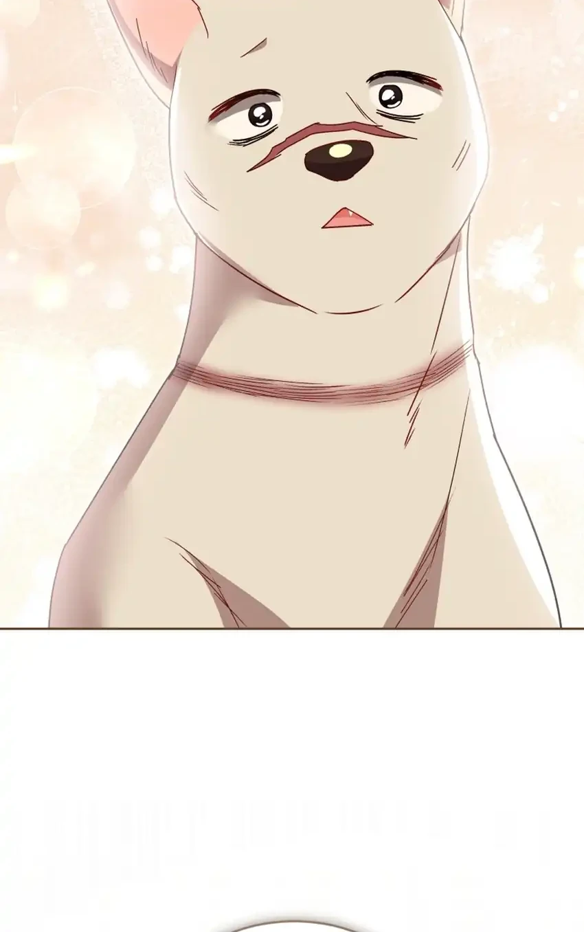 hello veterinarian chapter 116 - Page 38