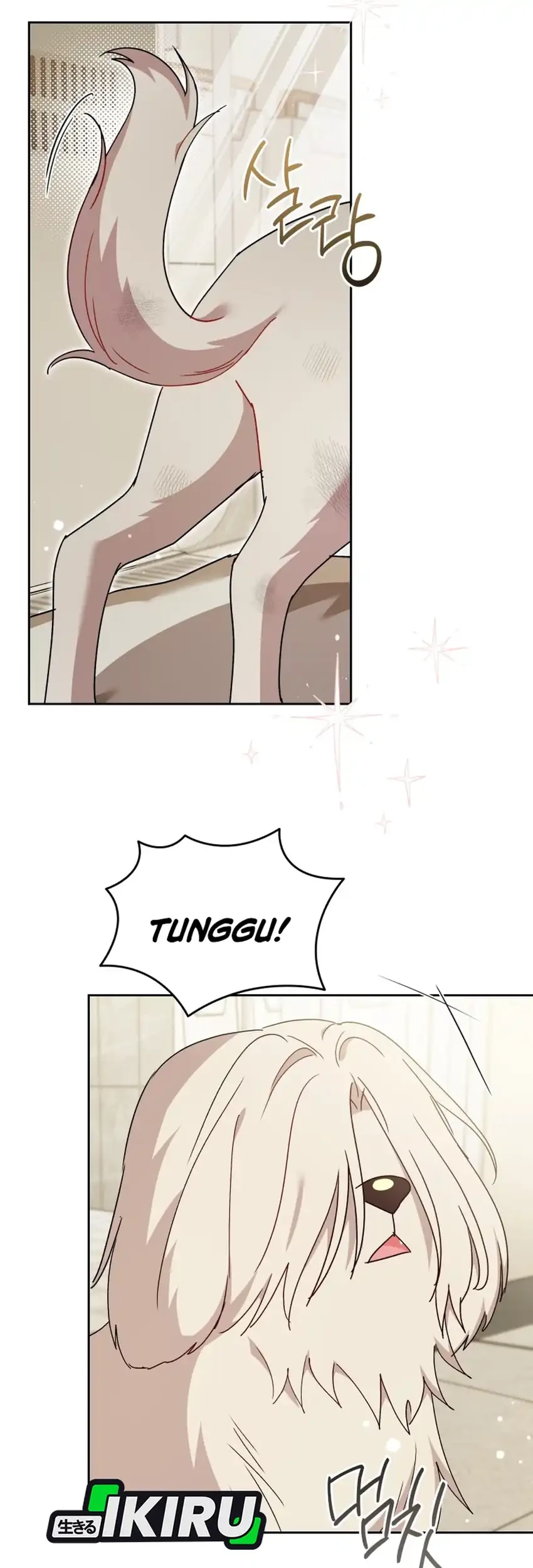 hello veterinarian chapter 116 - Page 41