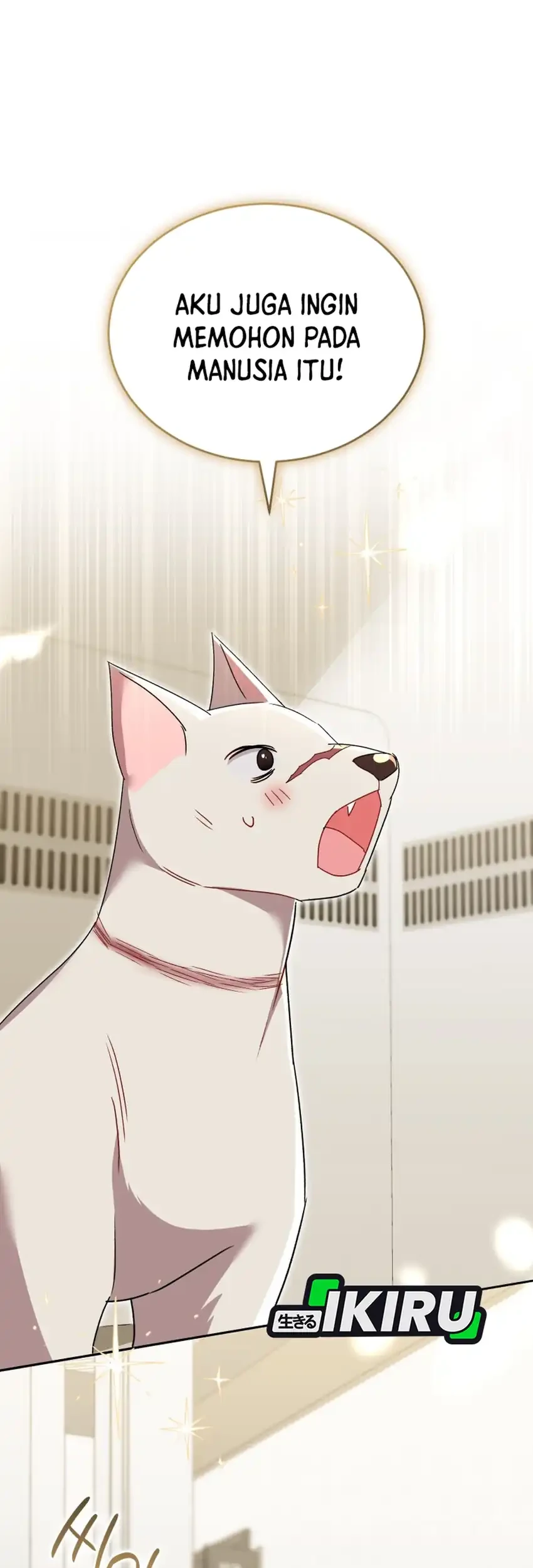 hello veterinarian chapter 116 - Page 43