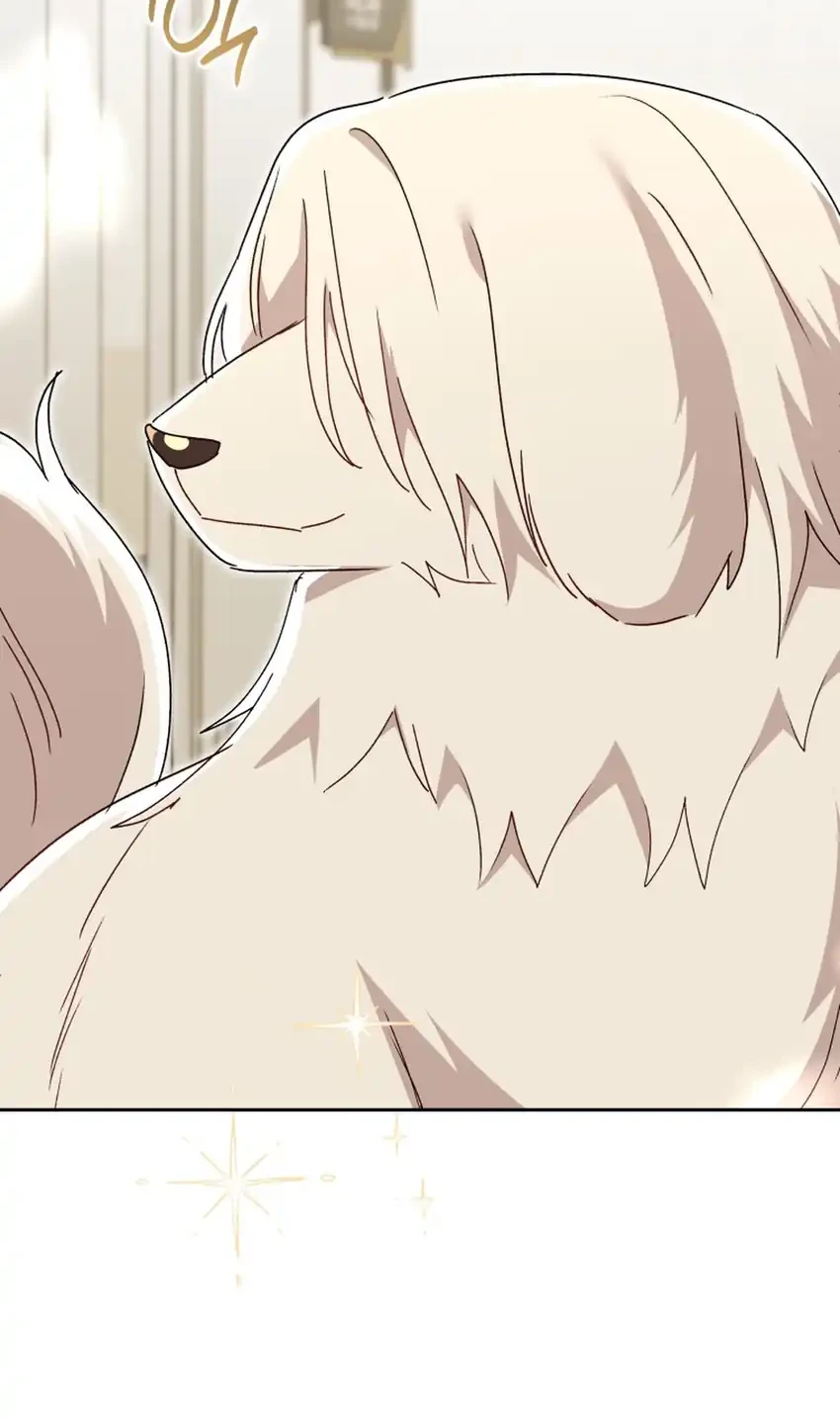 hello veterinarian chapter 116 - Page 44