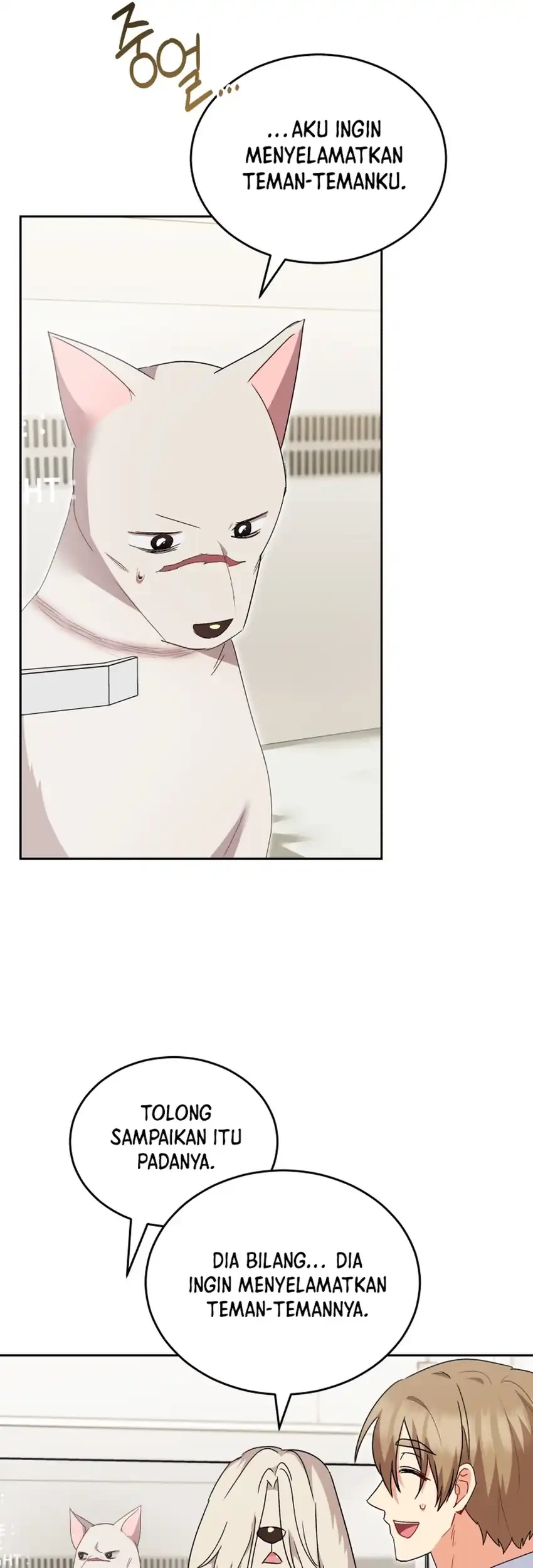 hello veterinarian chapter 116 - Page 47