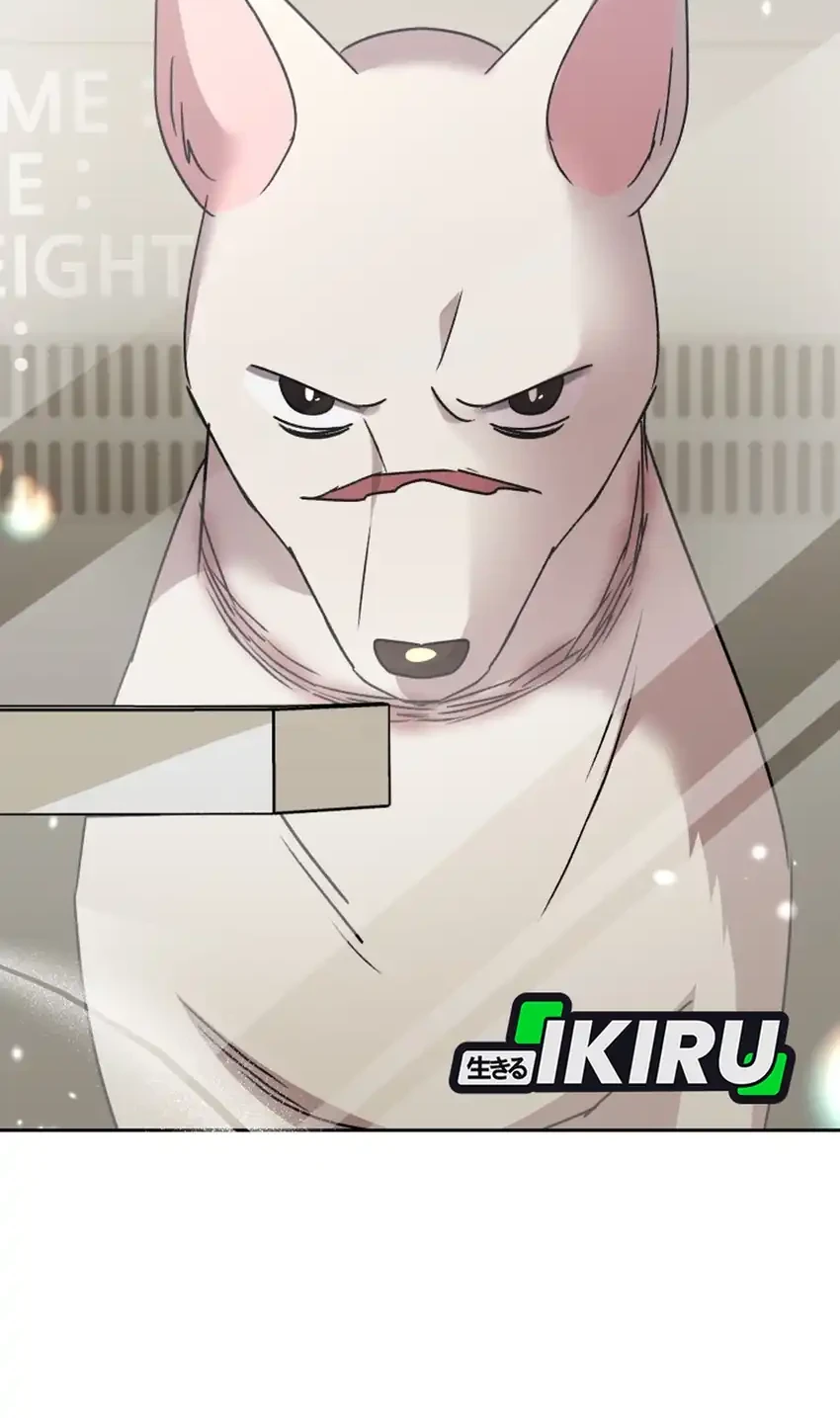 hello veterinarian chapter 116 - Page 58