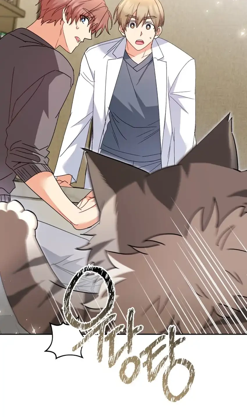 hello veterinarian chapter 116 - Page 73