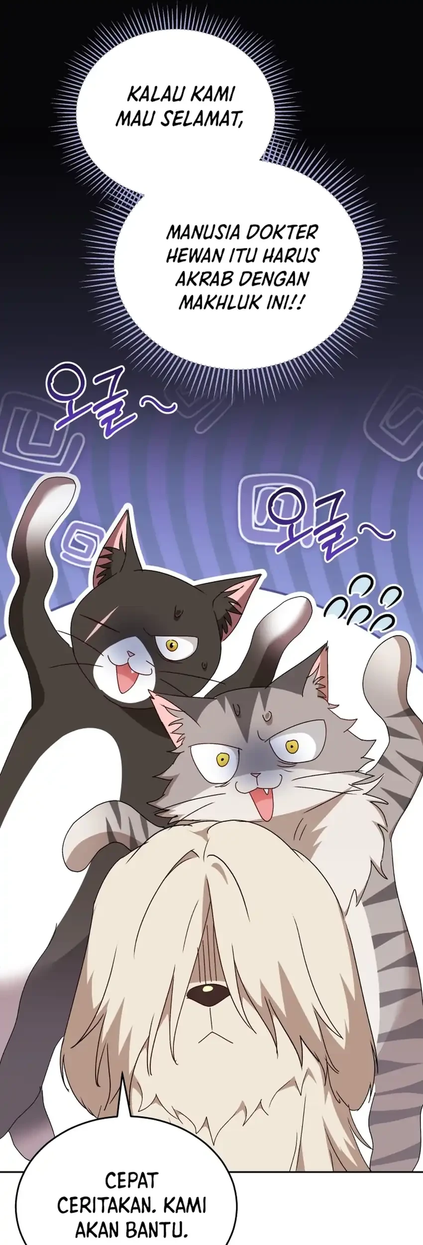 hello veterinarian chapter 116 - Page 13