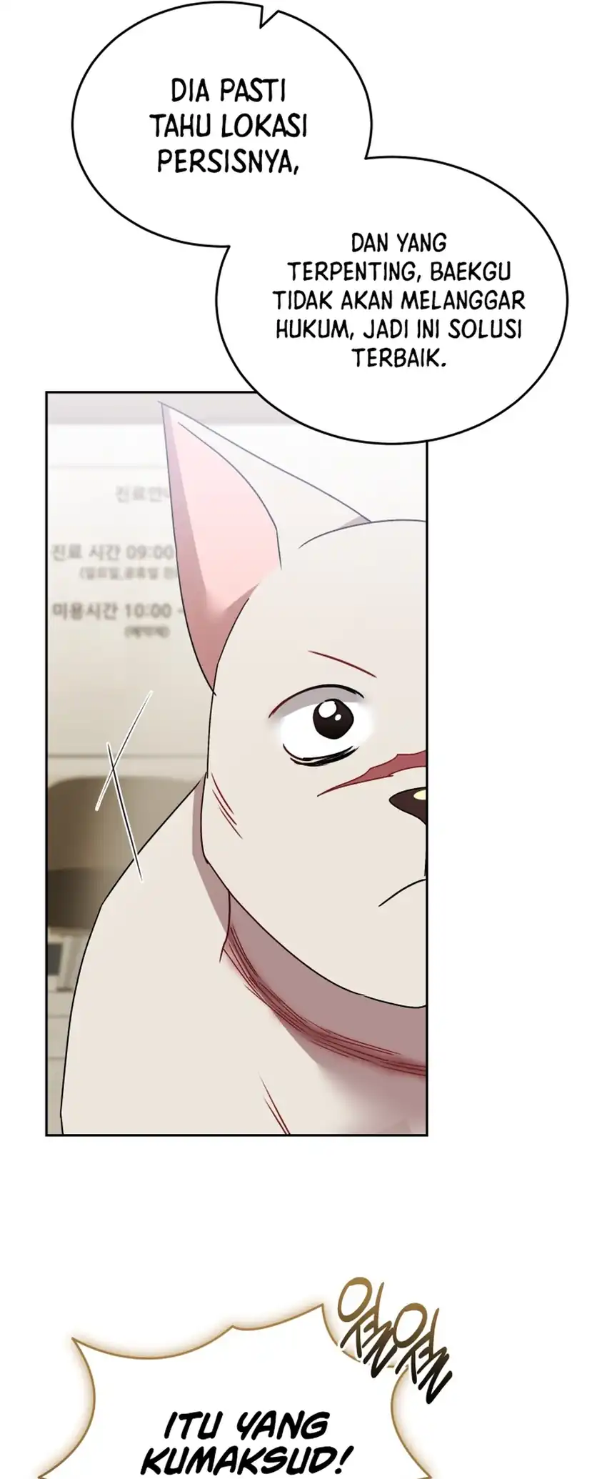 hello veterinarian chapter 117 - Page 23