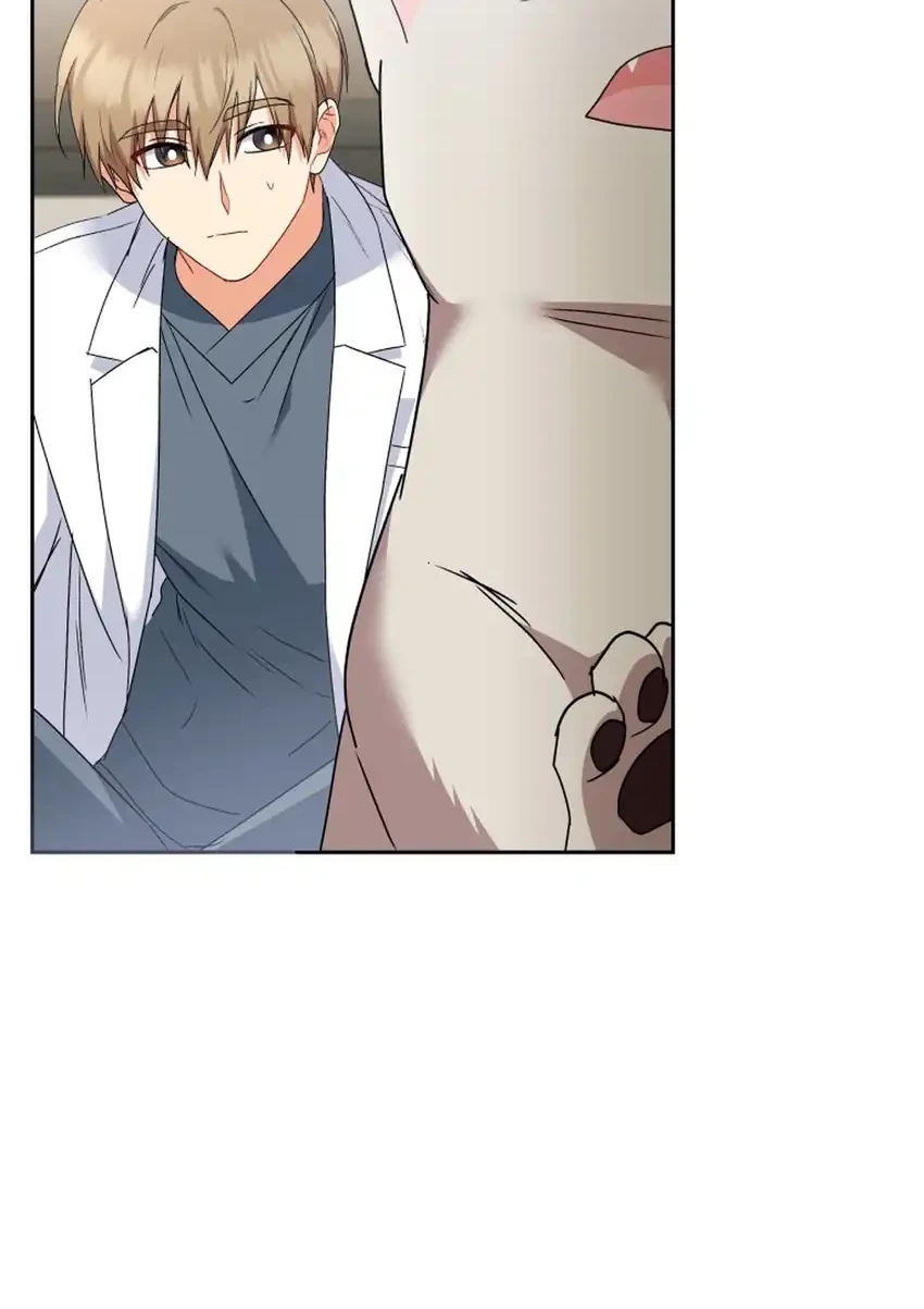 hello veterinarian chapter 117 - Page 26