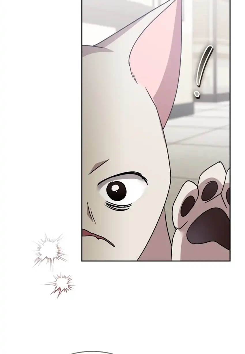 hello veterinarian chapter 117 - Page 28