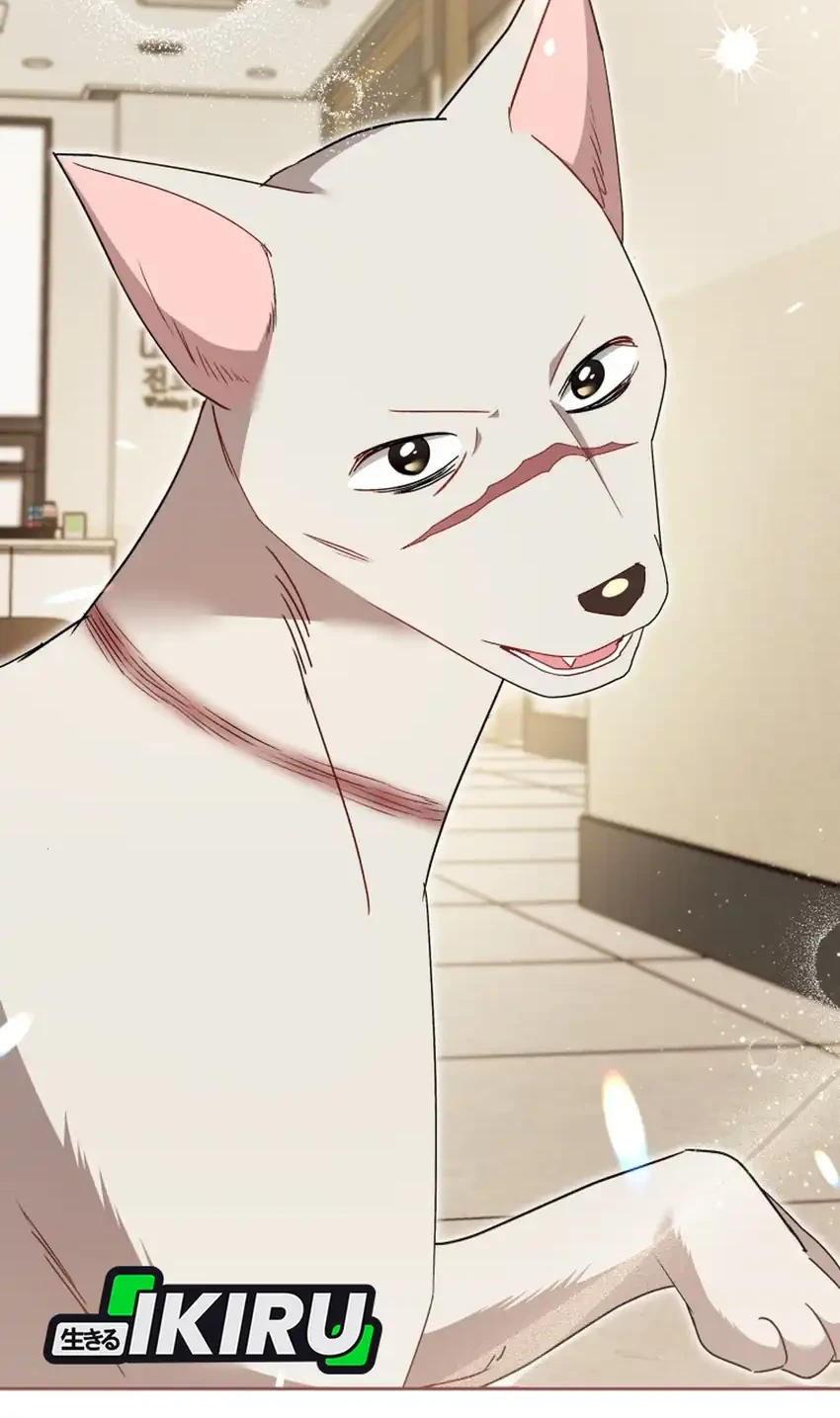 hello veterinarian chapter 117 - Page 34