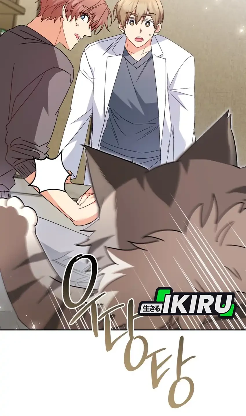 hello veterinarian chapter 117 - Page 2