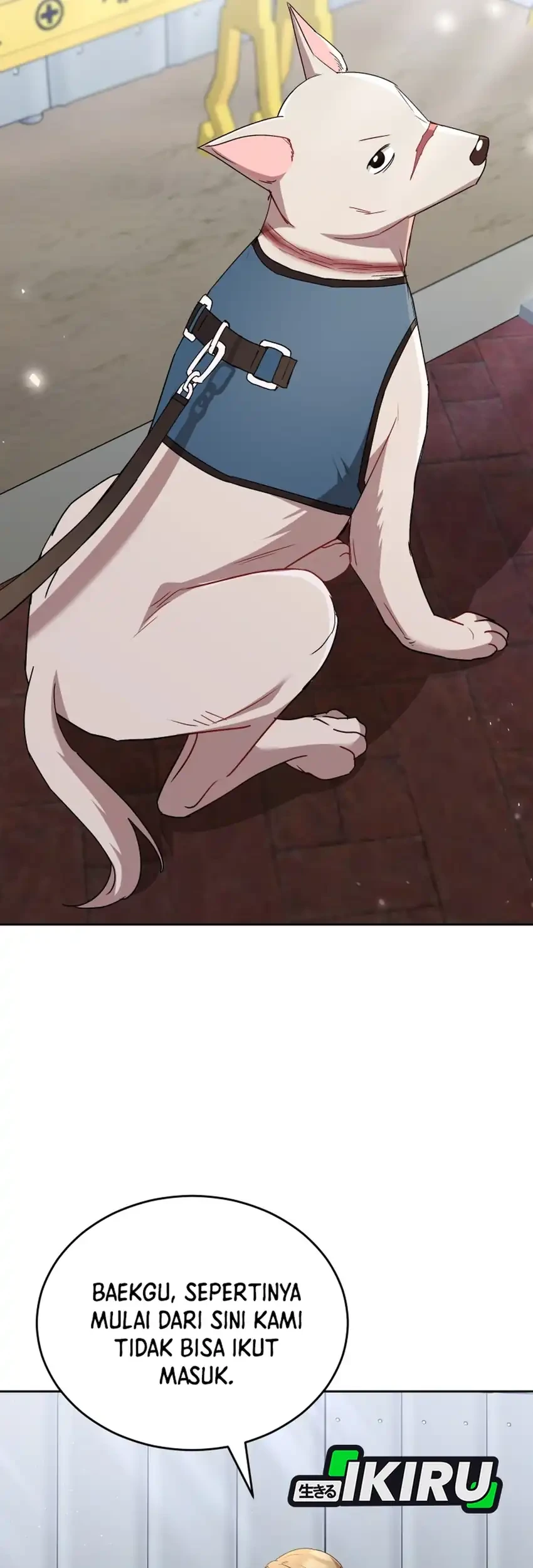 hello veterinarian chapter 117 - Page 52