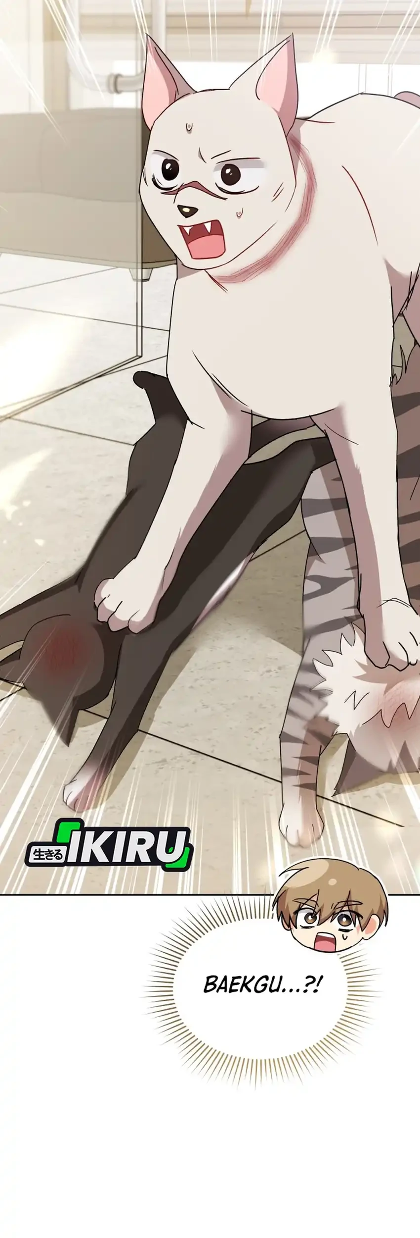 hello veterinarian chapter 117 - Page 4