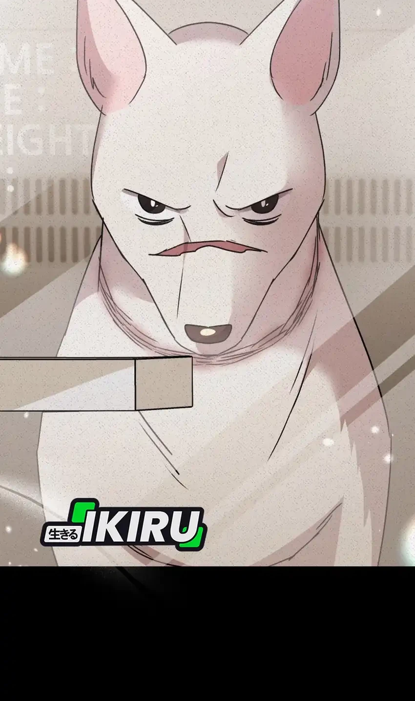 hello veterinarian chapter 117 - Page 7