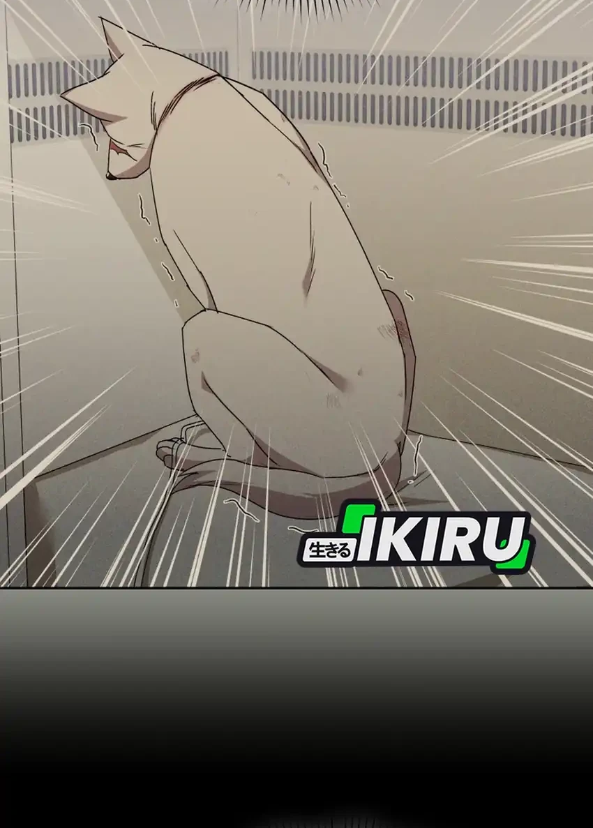 hello veterinarian chapter 117 - Page 9