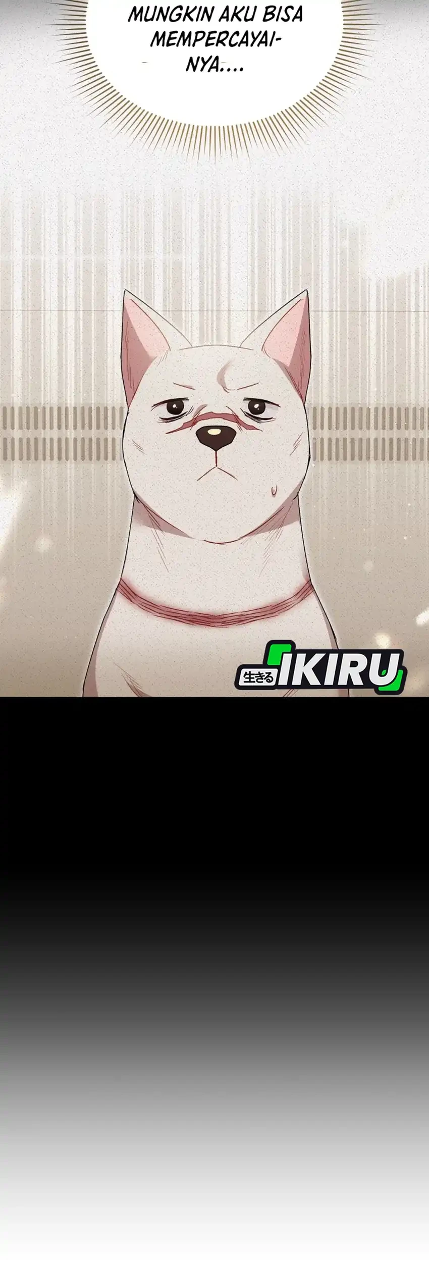 hello veterinarian chapter 117 - Page 15