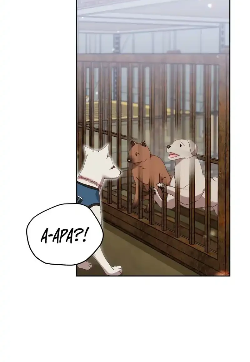 hello veterinarian chapter 118 - Page 26