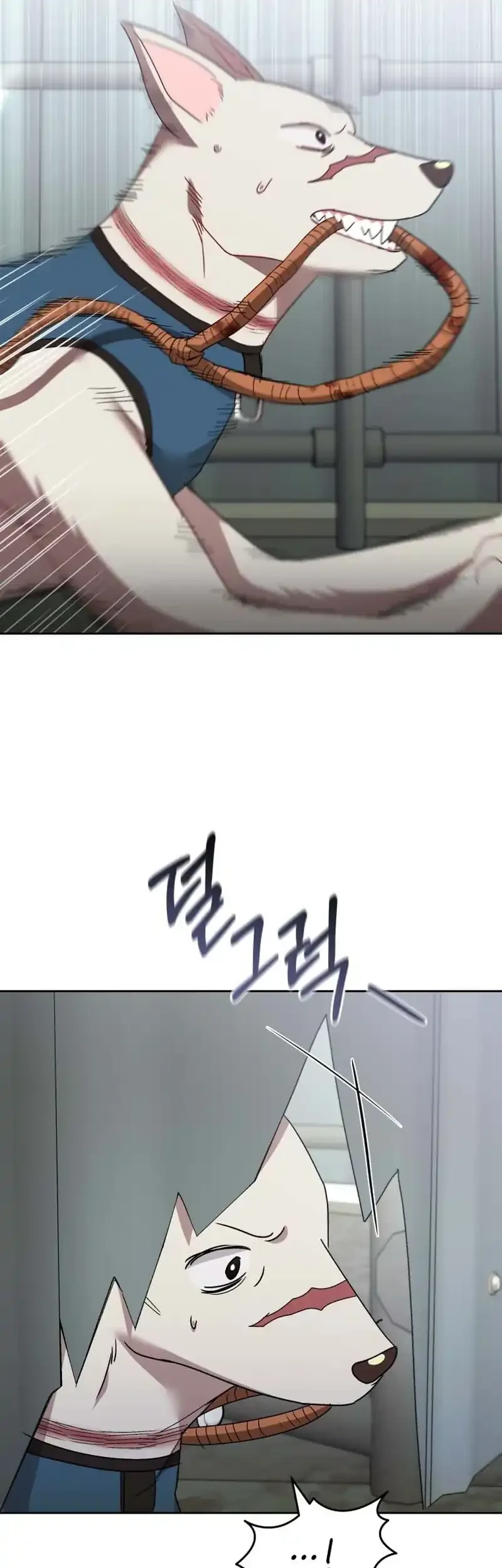 hello veterinarian chapter 118 - Page 11