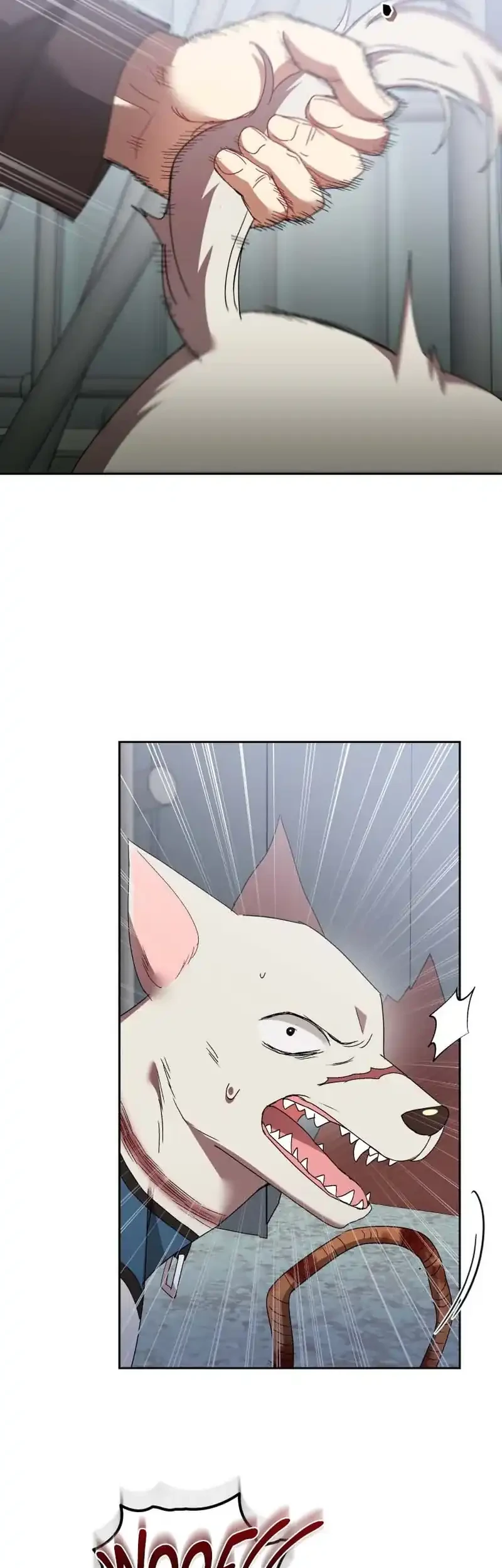 hello veterinarian chapter 118 - Page 13