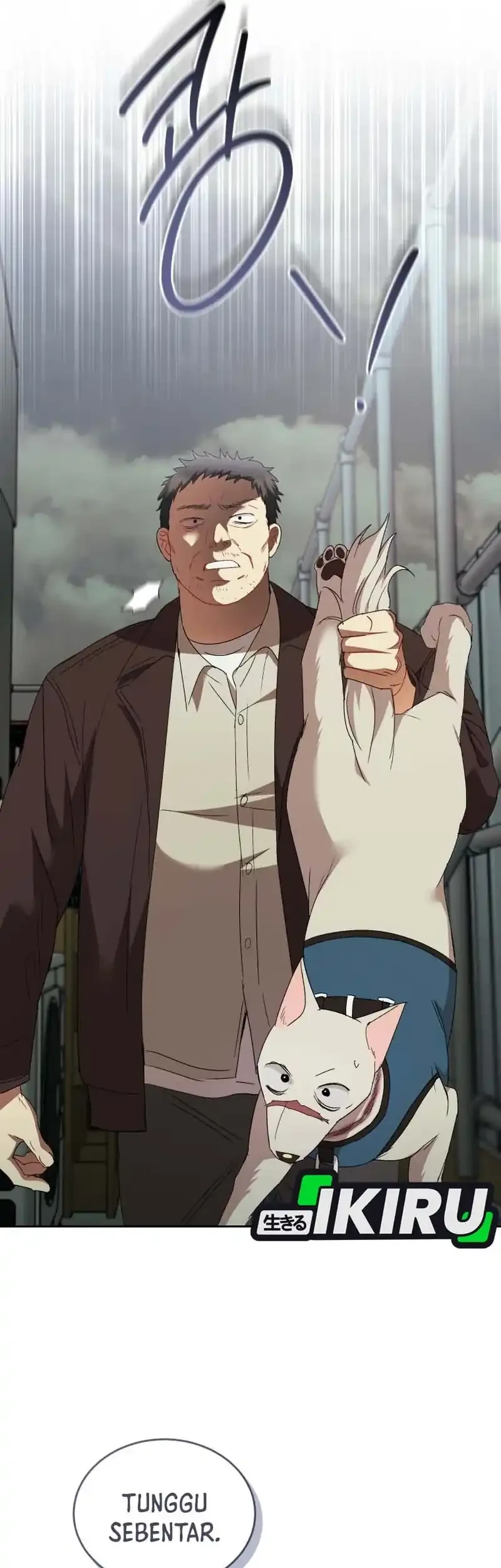 hello veterinarian chapter 118 - Page 17