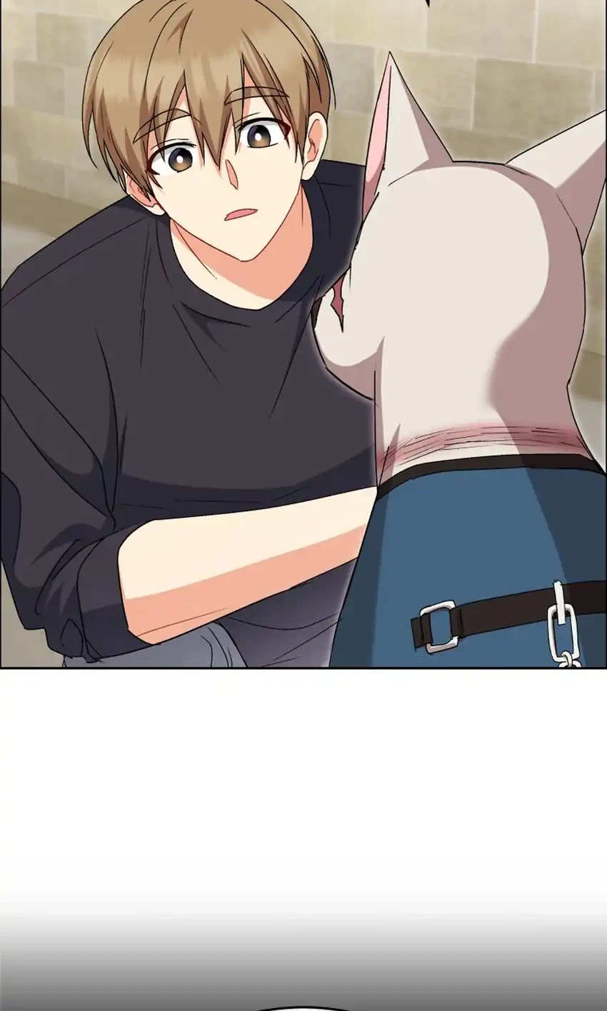 Hello? Veterinarian! Chapter 119 Gambar 26