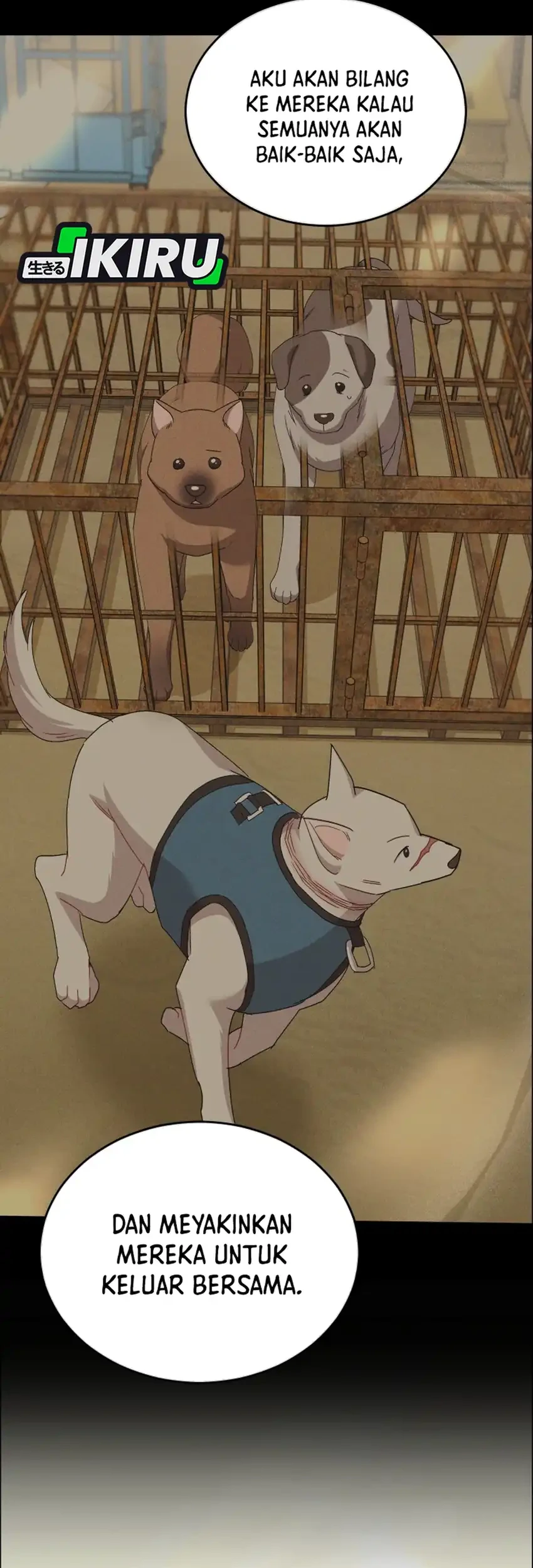 Hello? Veterinarian! Chapter 119 Gambar 28