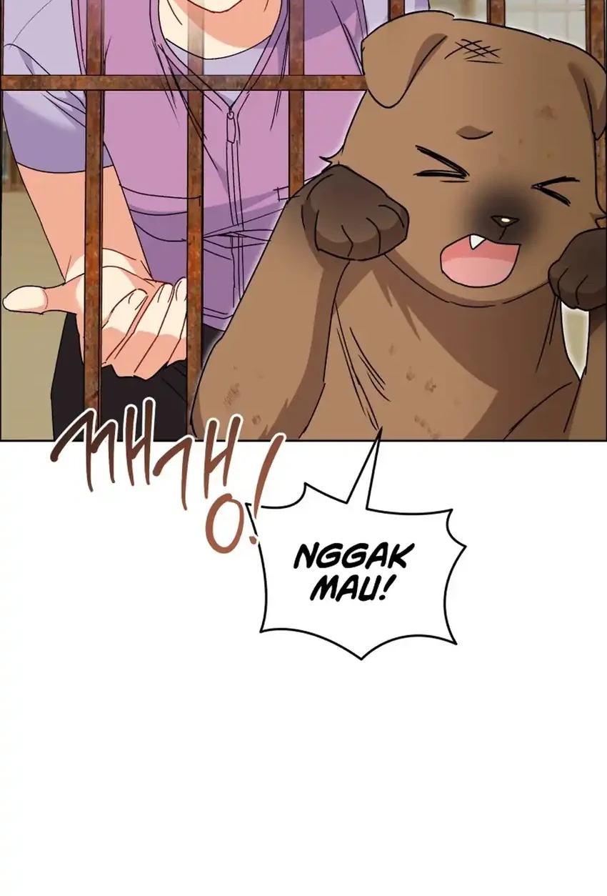 Hello? Veterinarian! Chapter 119 Gambar 41