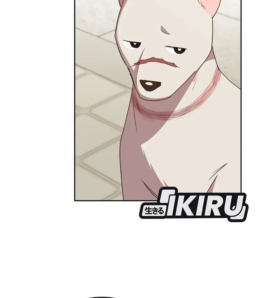 Hello? Veterinarian! Chapter 120 Gambar 19