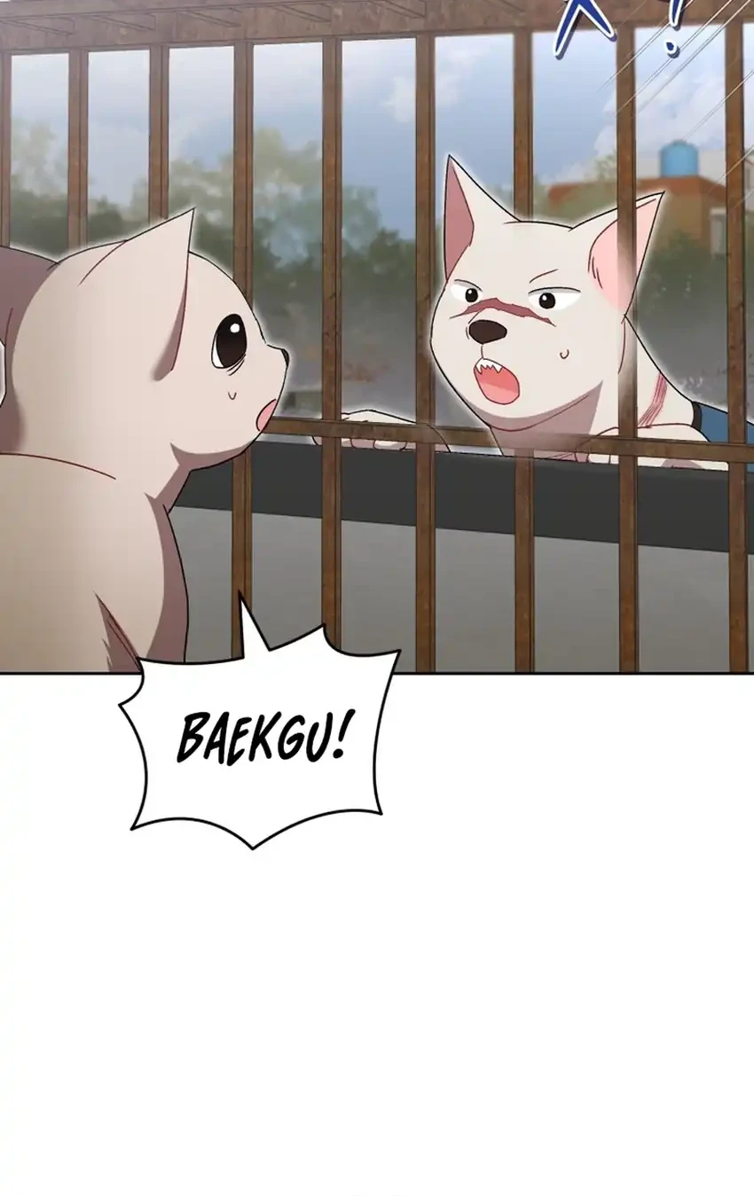 Hello? Veterinarian! Chapter 120 Gambar 6