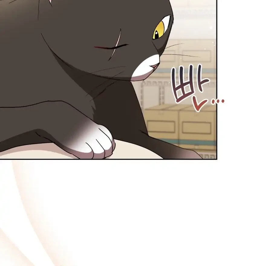 Hello? Veterinarian! Chapter 125 Gambar 42