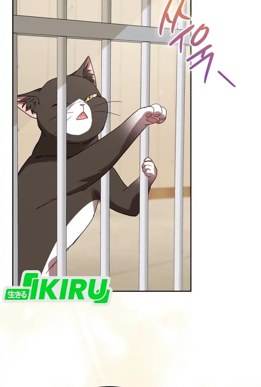 Hello? Veterinarian! Chapter 126 Gambar 28